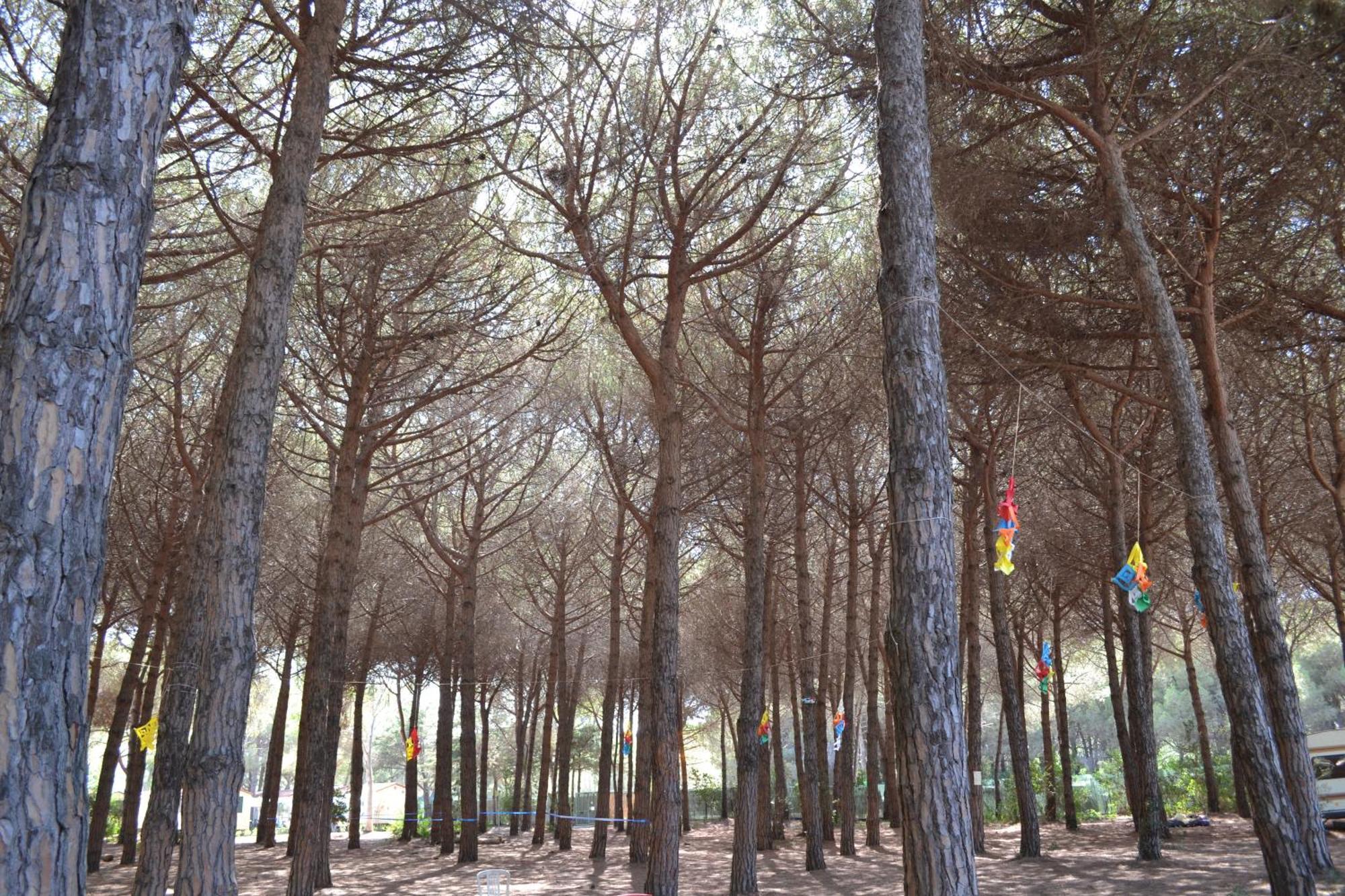 Giannella Camping Orbetello Kültér fotó