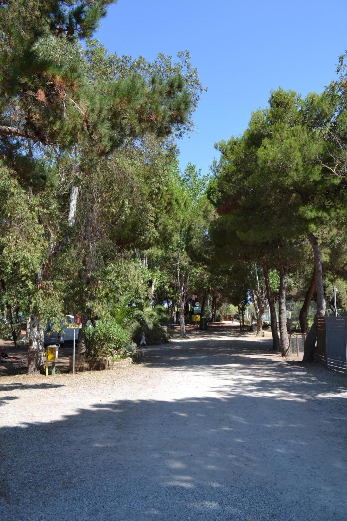 Giannella Camping Orbetello Kültér fotó